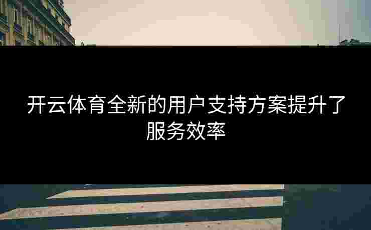 开云体育全新的用户支持方案提升了服务效率