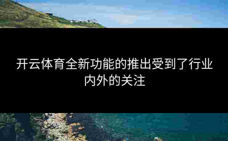 开云体育全新功能的推出受到了行业内外的关注